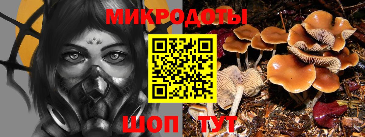 Галлюциногенные грибы Psilocybe Кушва